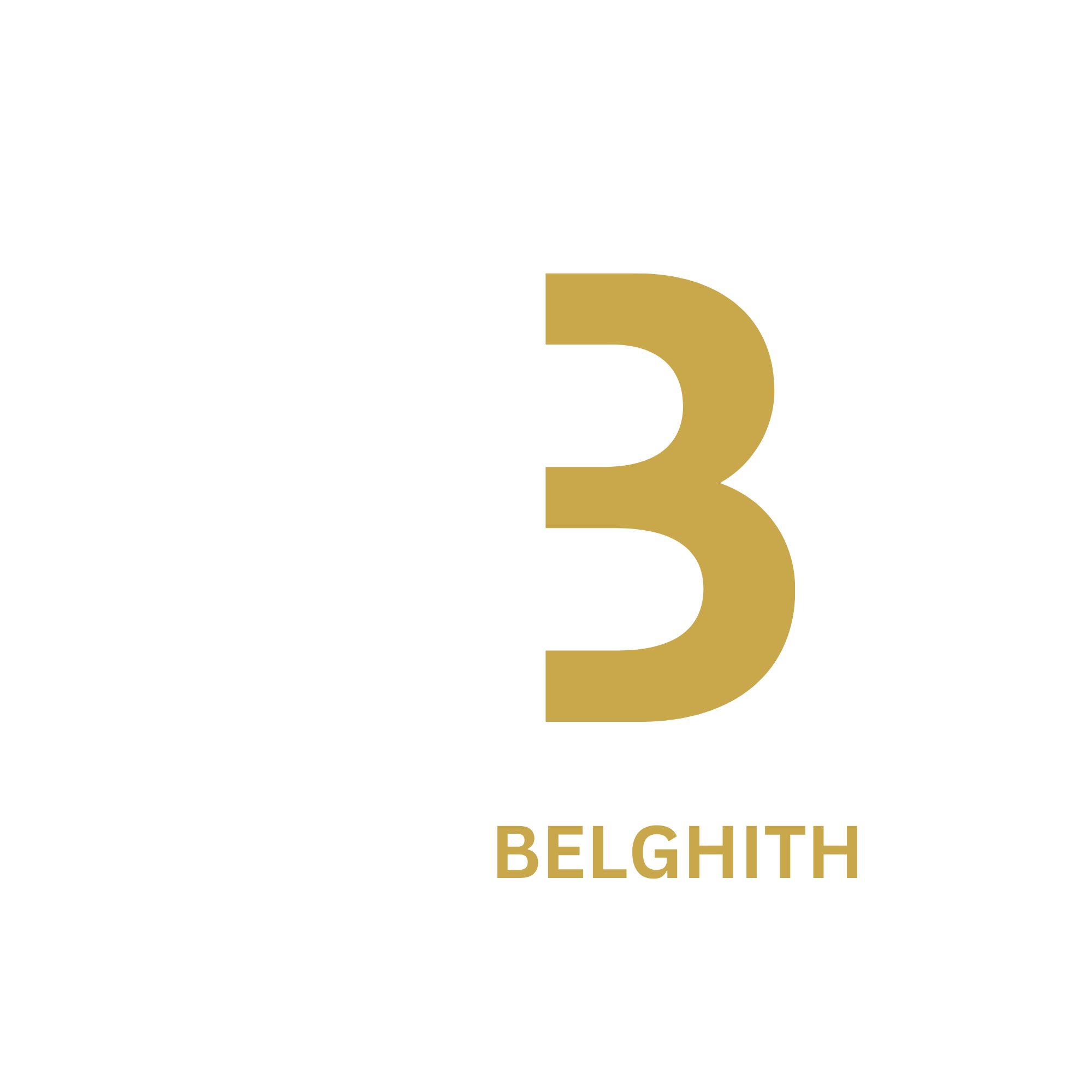 1 SB Logo